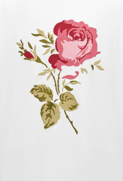 Kaos Pendek DIOR dengan Motif Gambar/Cetak, Cocok untuk Pria dan Wanita  -D-21