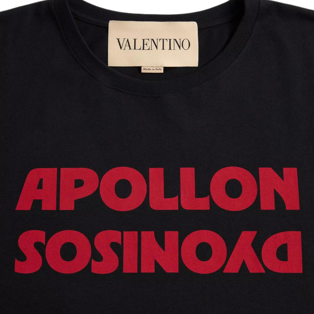 Kaos Pendek LOEWE dengan Motif Gambar/Cetak, Cocok untuk Pria dan Wanita -LE-26