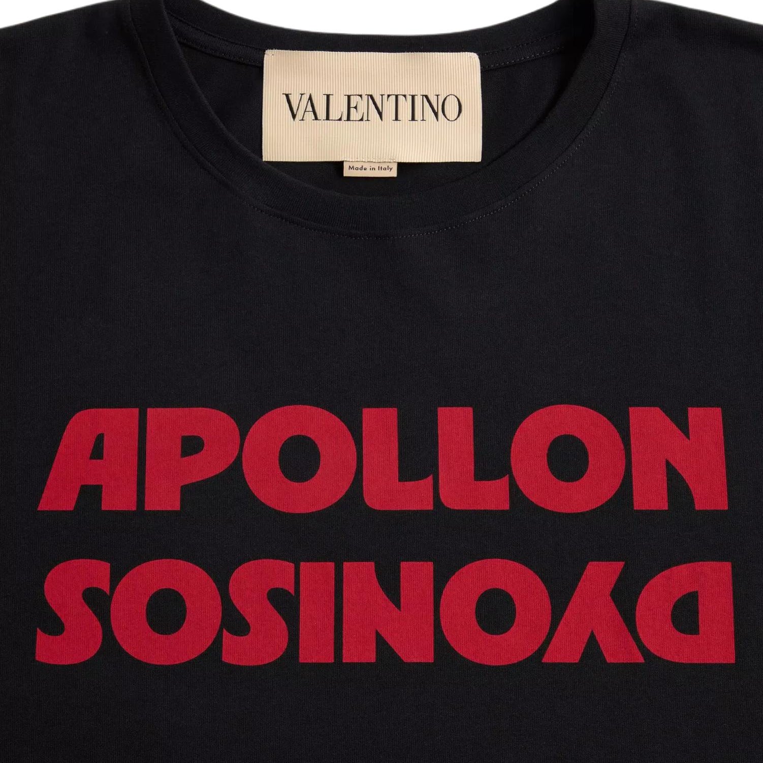 Kaos Pendek LOEWE dengan Motif Gambar/Cetak, Cocok untuk Pria dan Wanita -LE-26