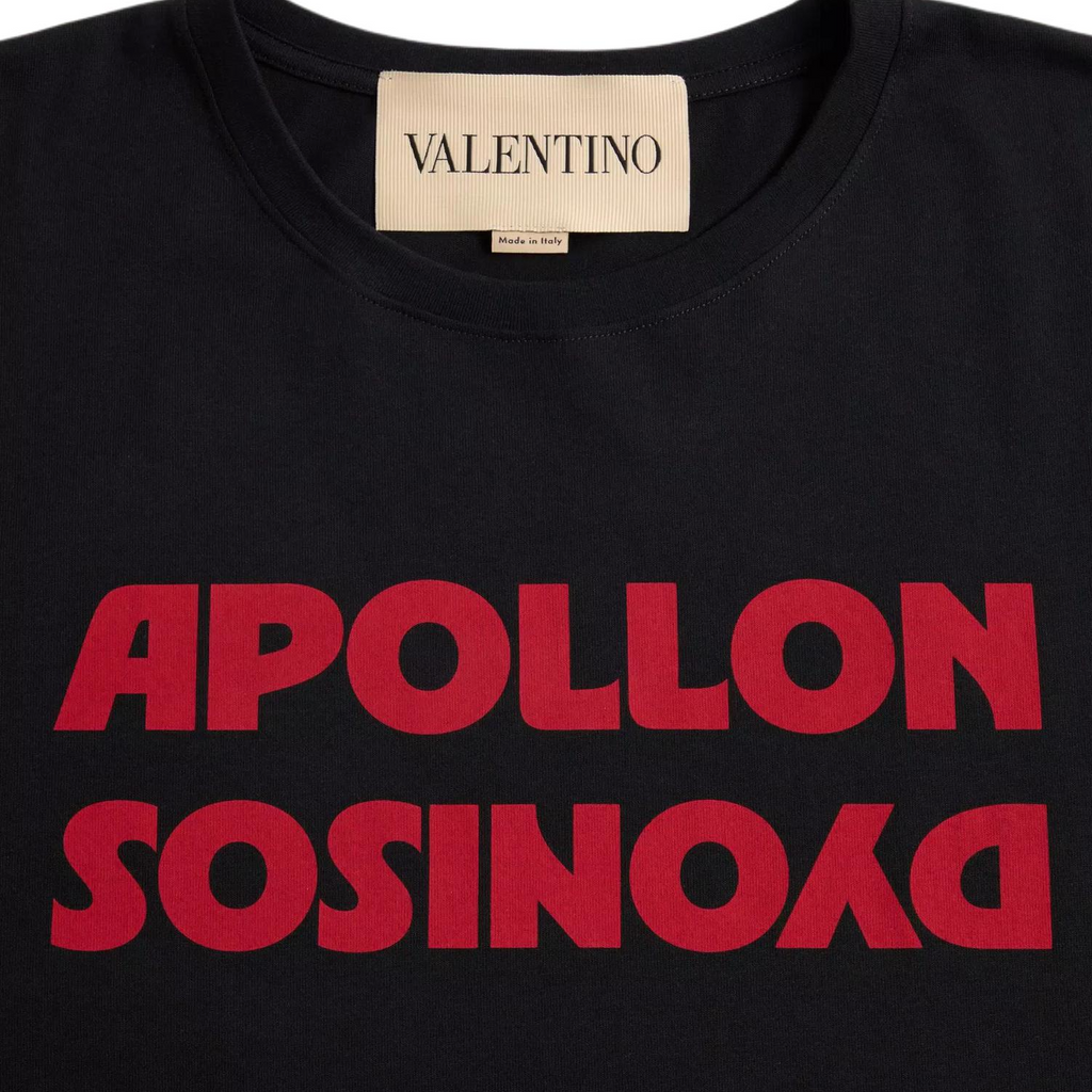 Kaos Pendek LOEWE dengan Motif Gambar/Cetak, Cocok untuk Pria dan Wanita -LE-26