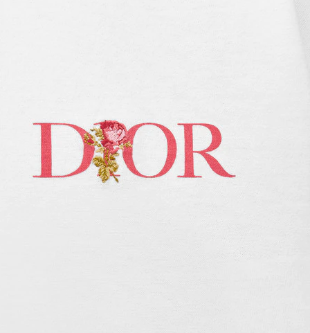 Kaos Pendek DIOR dengan Motif Gambar/Cetak, Cocok untuk Pria dan Wanita  -D-21