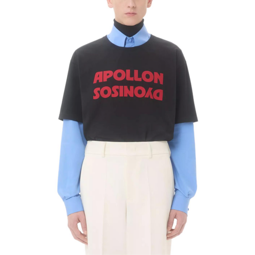 Kaos Pendek LOEWE dengan Motif Gambar/Cetak, Cocok untuk Pria dan Wanita -LE-26