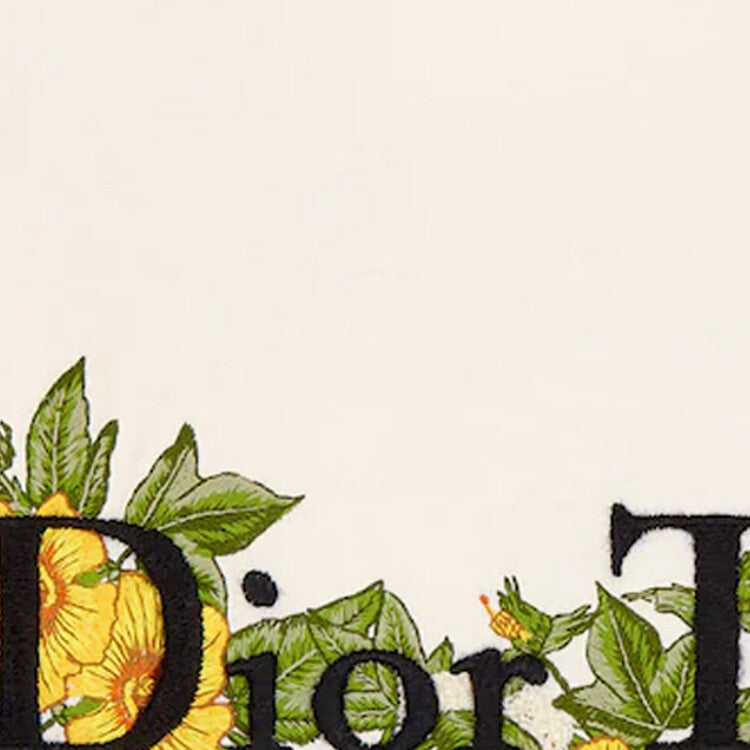 Kaos Pendek DIOR dengan Motif Gambar/Cetak, Cocok untuk Pria dan Wanita  -D-08